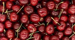 Cerises Nubba