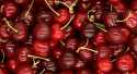 Cerises Summit