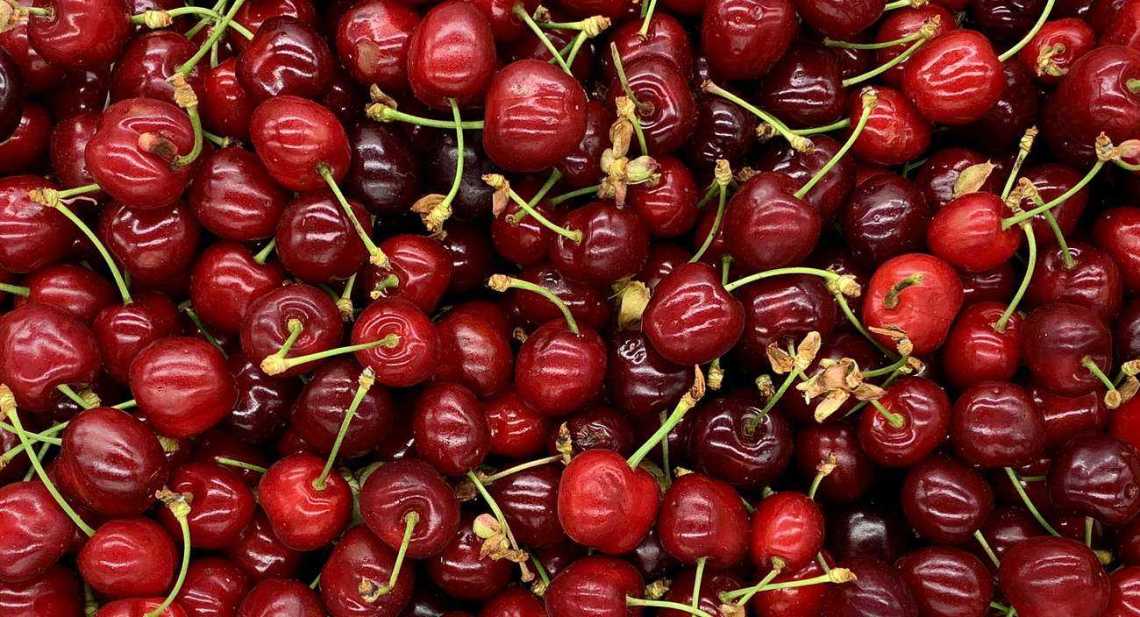 Cerises Van