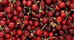 Cerises Van