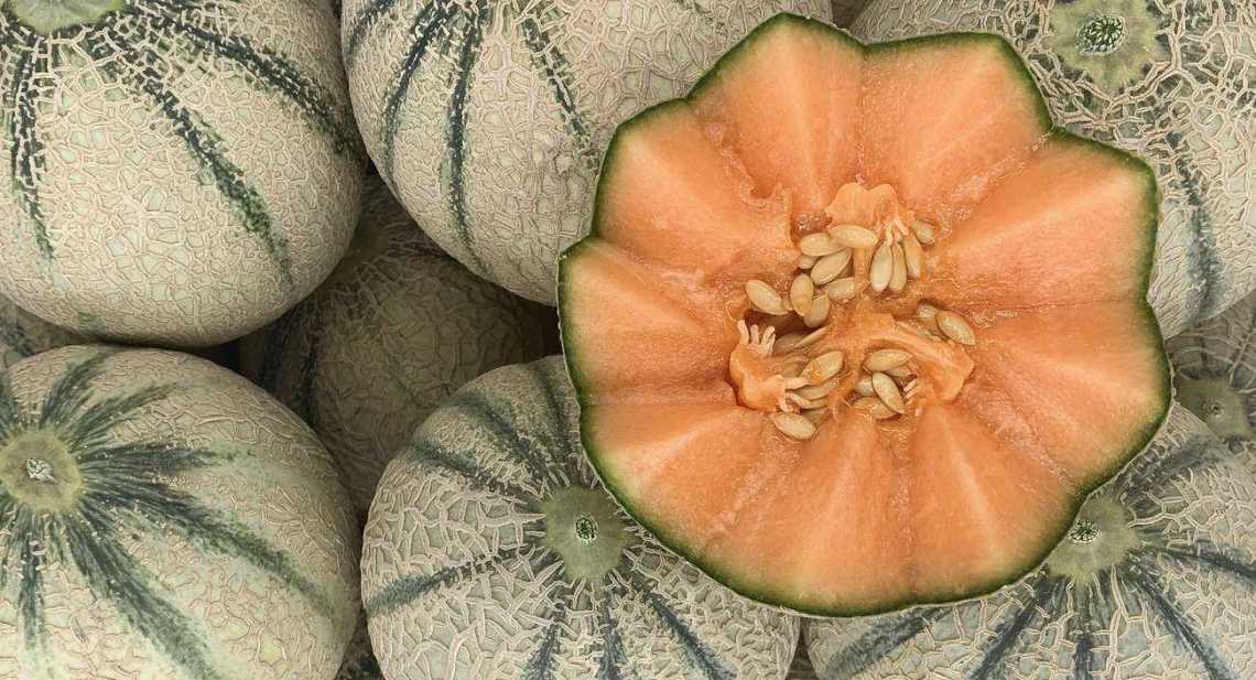 Melons Chiron
