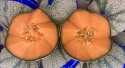 Melons Sicile