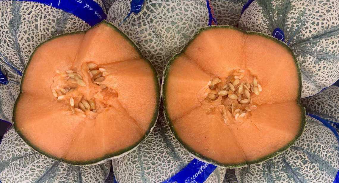 Melons Sicile