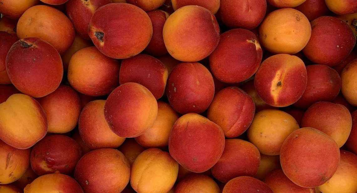 Abricots Orangered