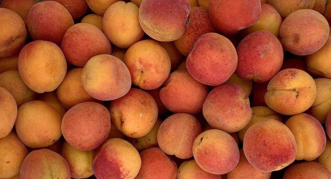 Abricots Digat