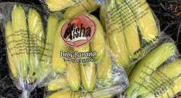 Bananes Frécinettes