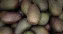 Avocats
