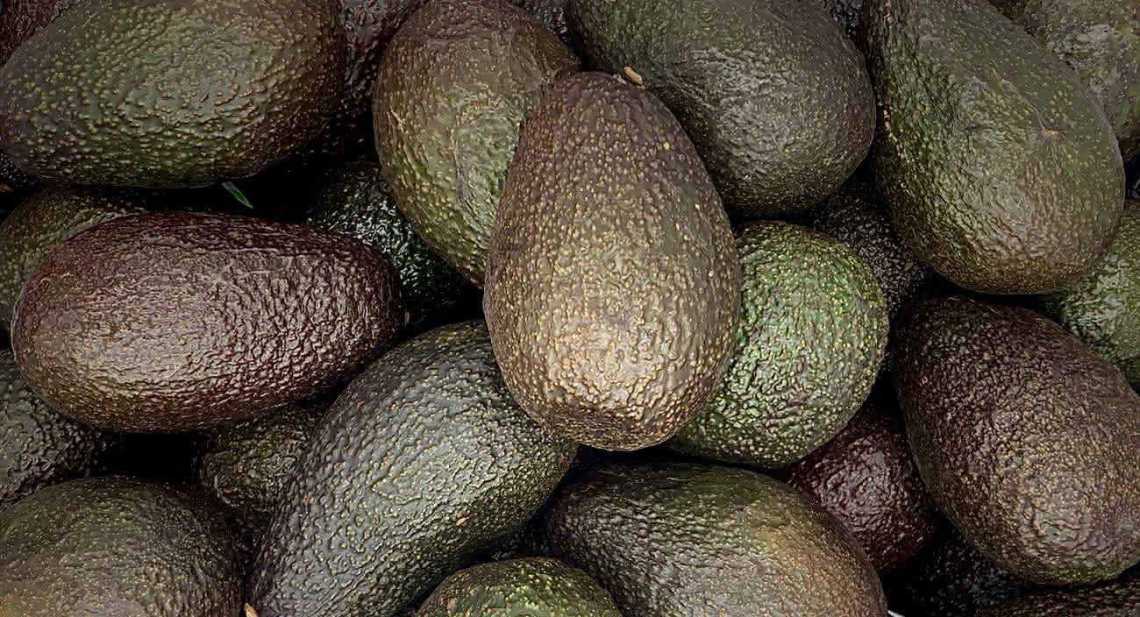 Avocats