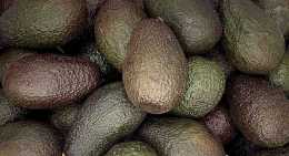 Avocats