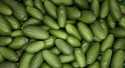 Avocats cocktail