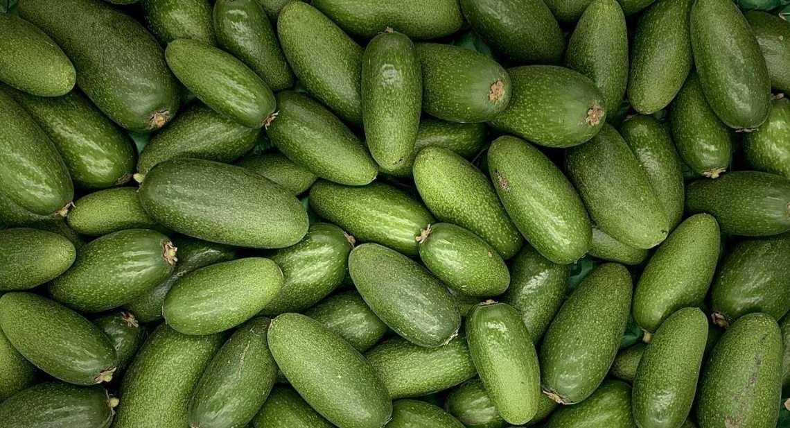 Avocats cocktail