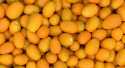 Kumquat