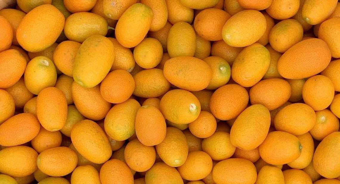 Kumquat