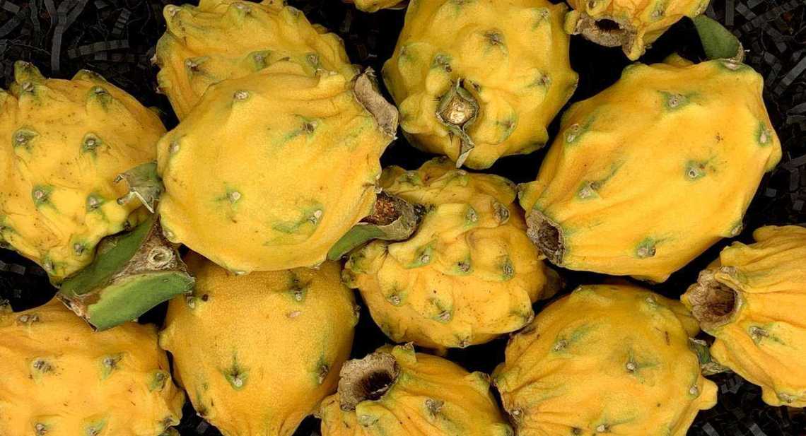 Pitaya Jaune