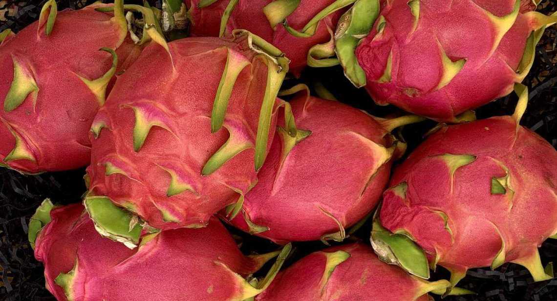 Pitaya Rouge