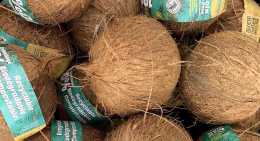 Noix de coco
