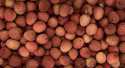 Litchi (avion)