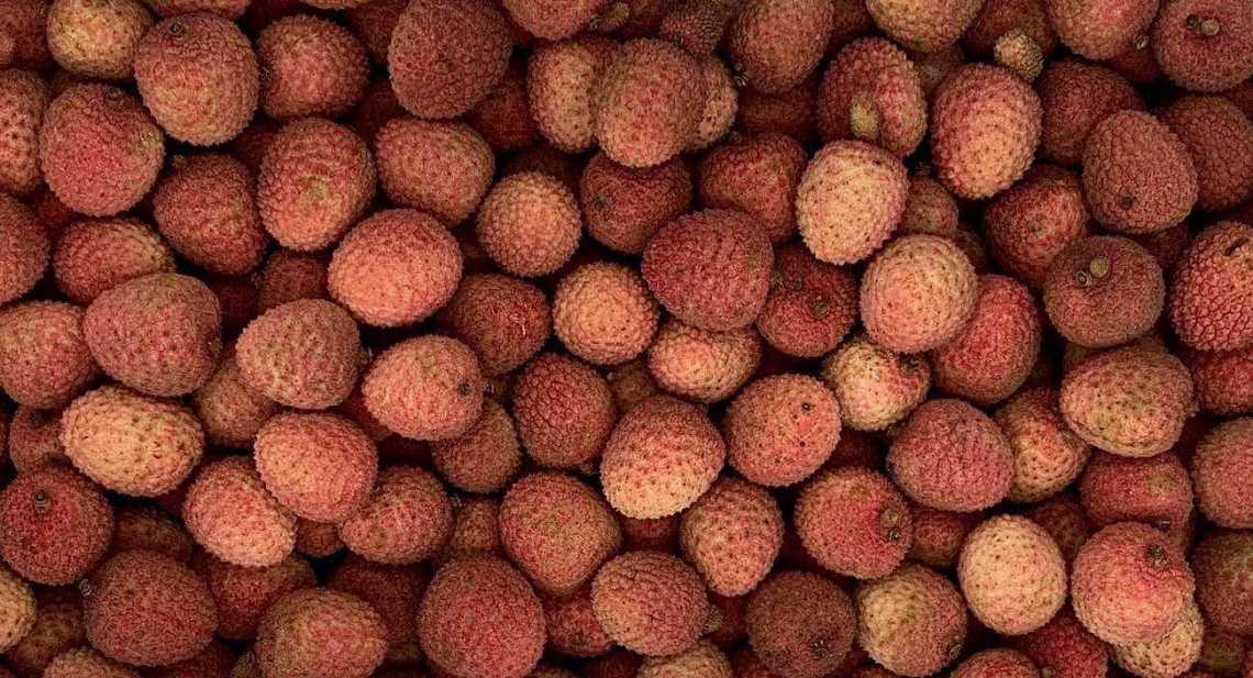 Litchi (avion)