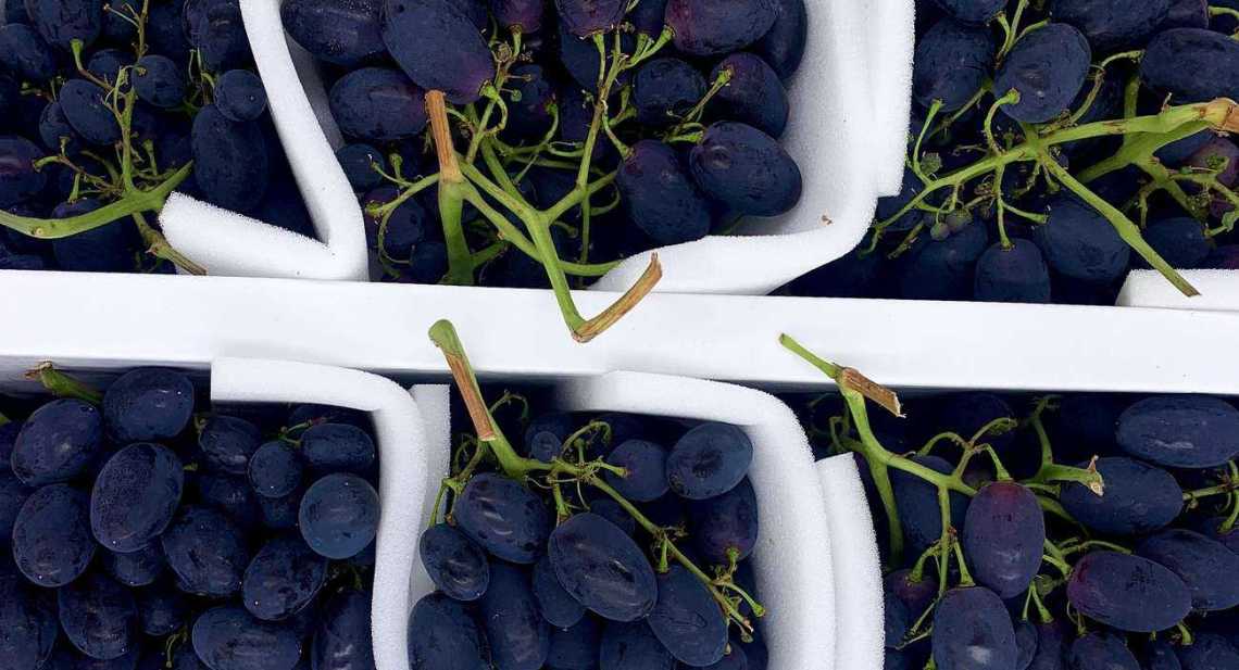 Raisins Noir