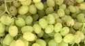 Raisins Blanc Vittoria
