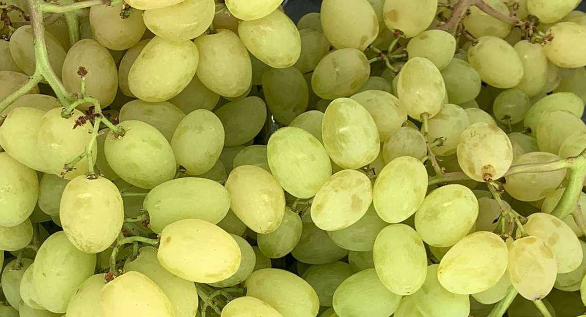 Raisins Blanc Vittoria
