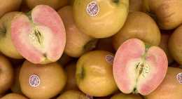 Pommes Kissabel