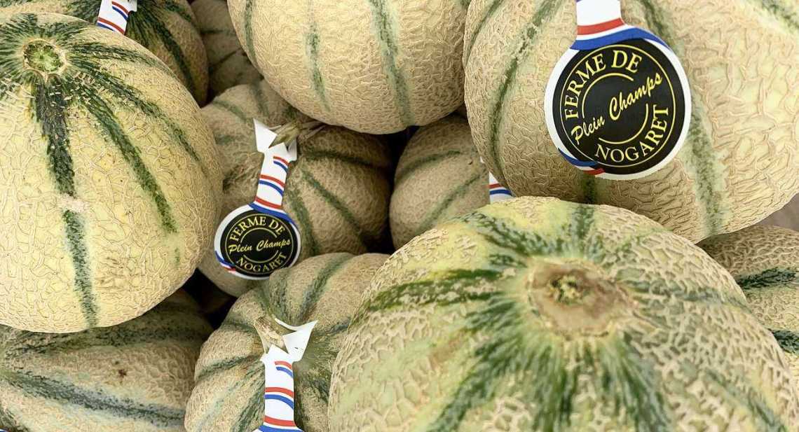 Melons Nogaret