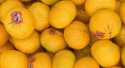 Mandarines Mandarine