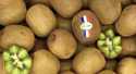 Kiwis Vert