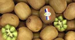 Kiwis Vert