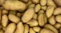 Pommes de terre Amandine