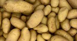 Pommes de terre Amandine