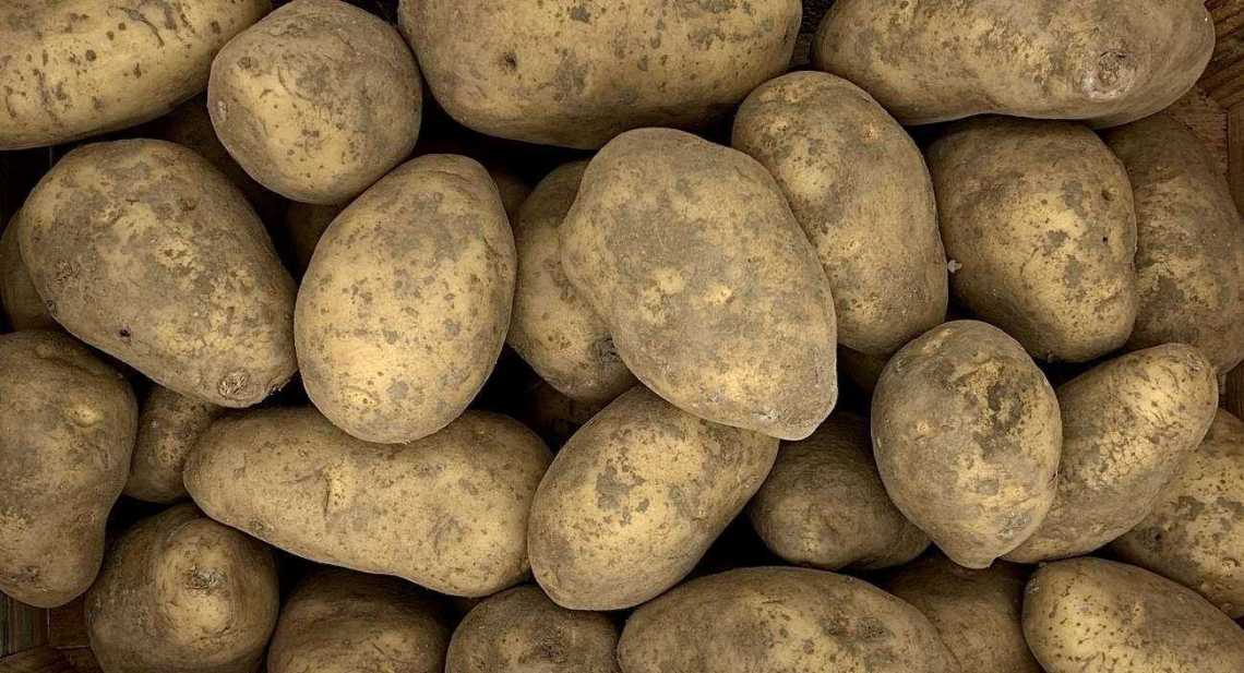 Pommes de terre Mona lisa