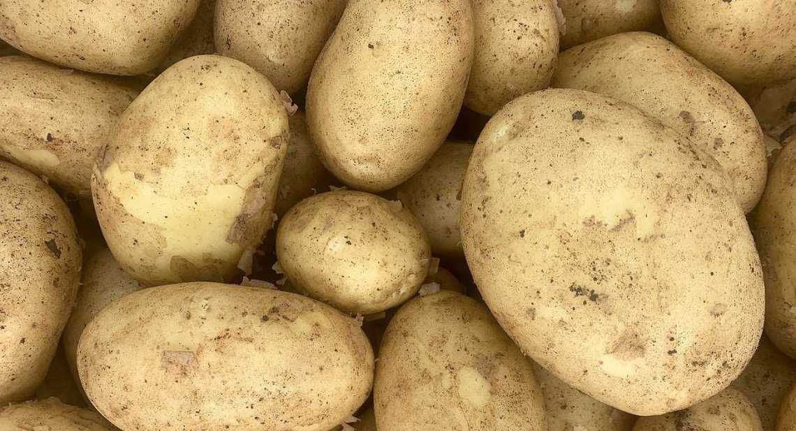 Pommes de terre Spunta