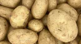 Pommes de terre Spunta
