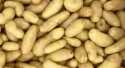 Pommes de terre Jazzy