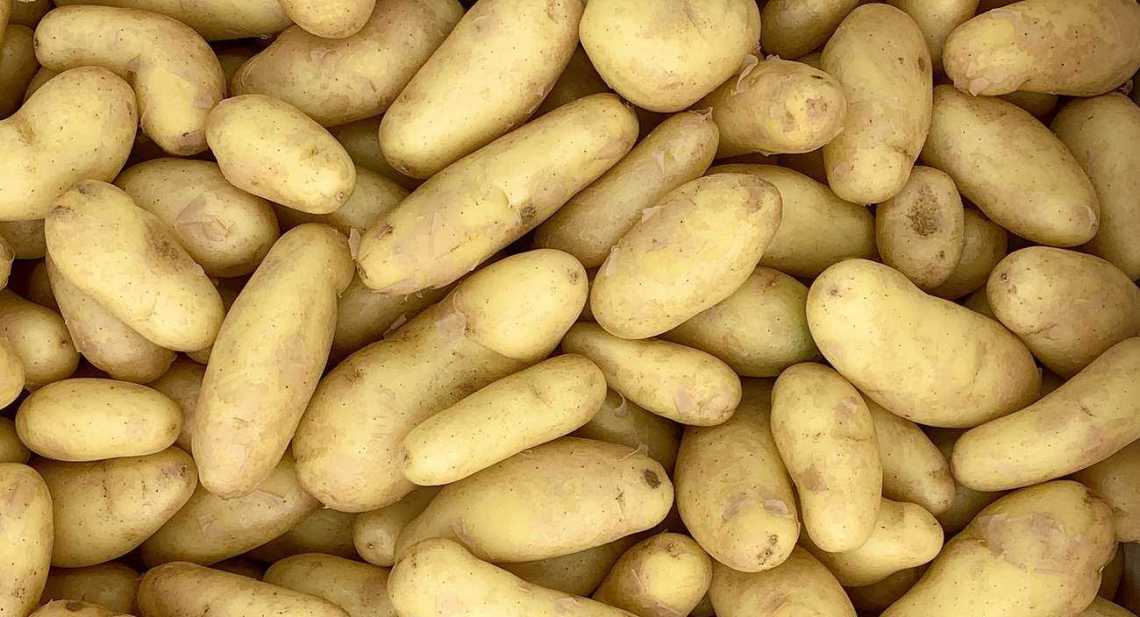 Pommes de terre Jazzy