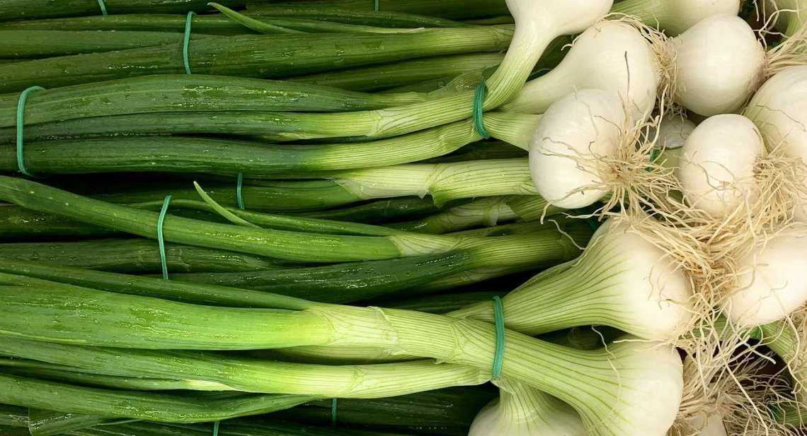 Oignons Blanc botte