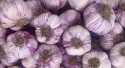Ails Violet