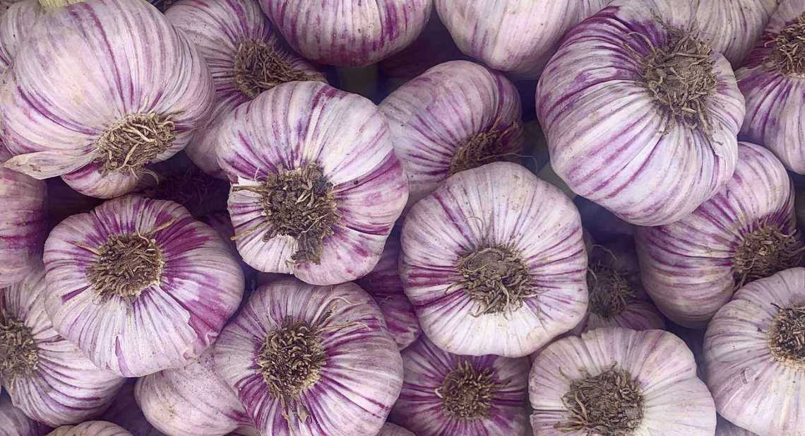 Ails Violet