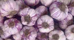 Ails Violet