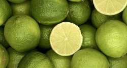 Citrons Vert lot de 3