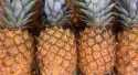 Ananas SWEET