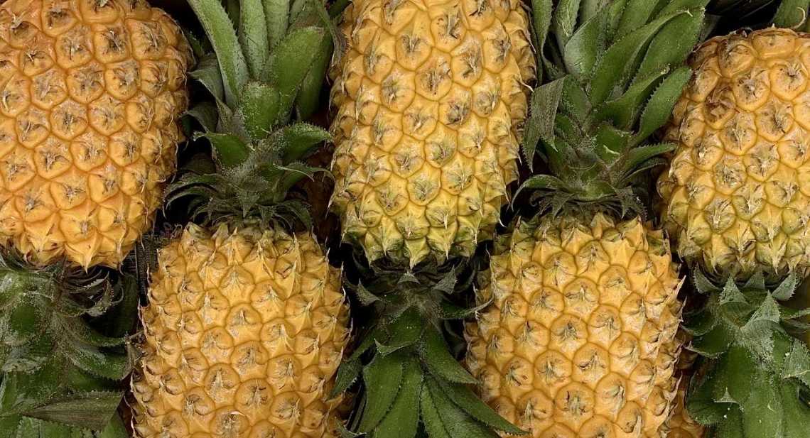 Ananas Victoria