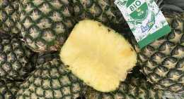 Ananas Ana'dou BIO