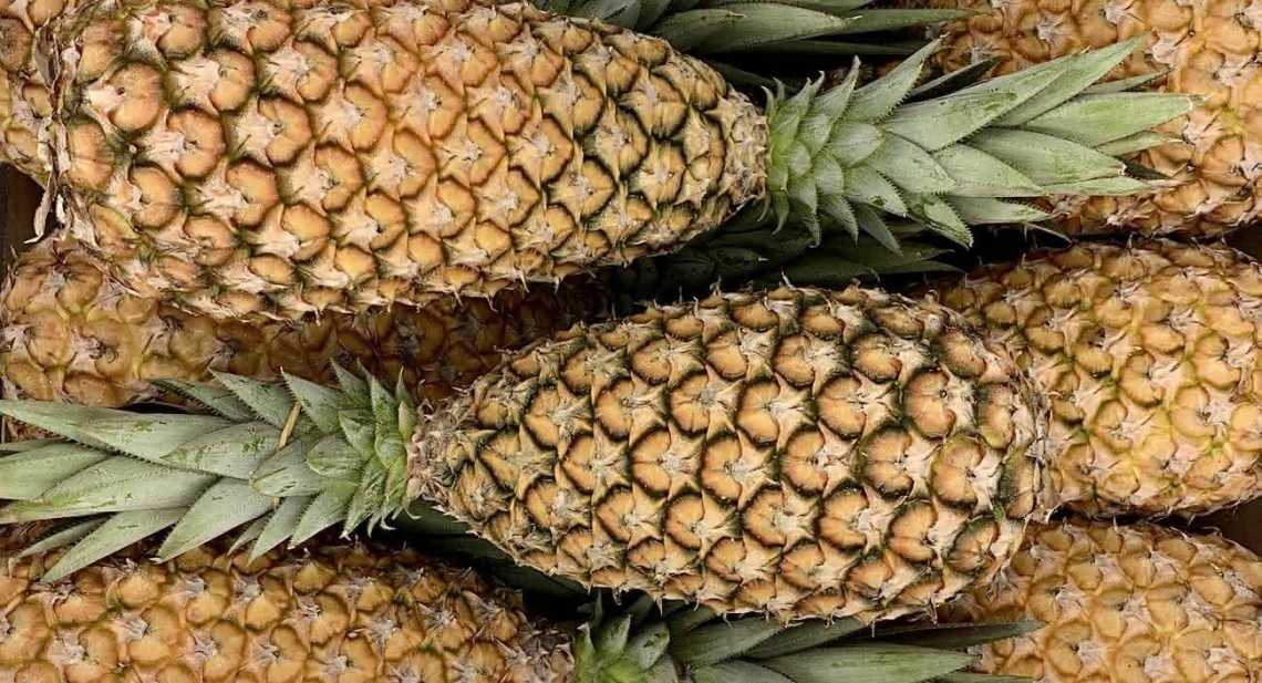 Ananas Pain de sucre