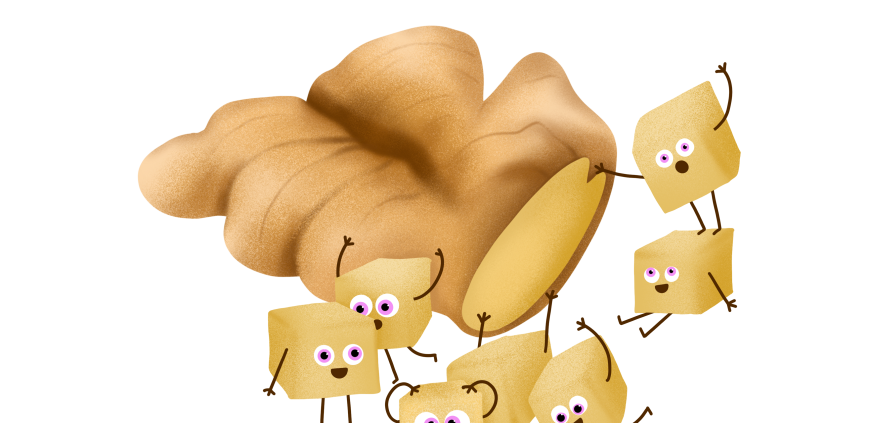 Gingembres
