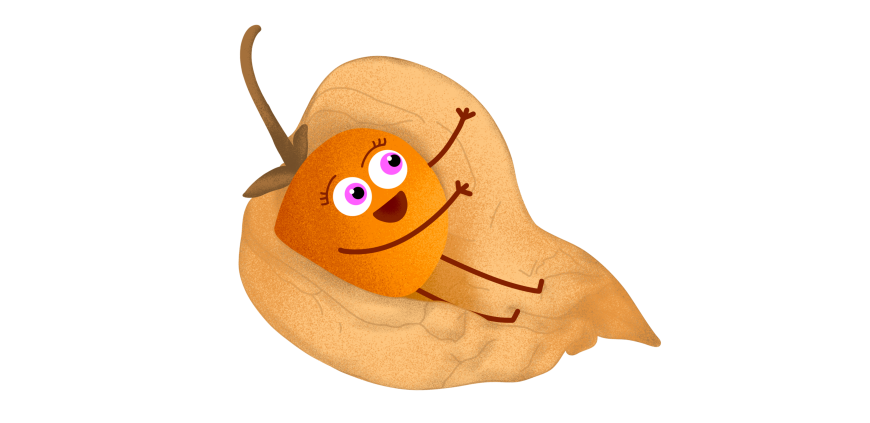 Physalis
