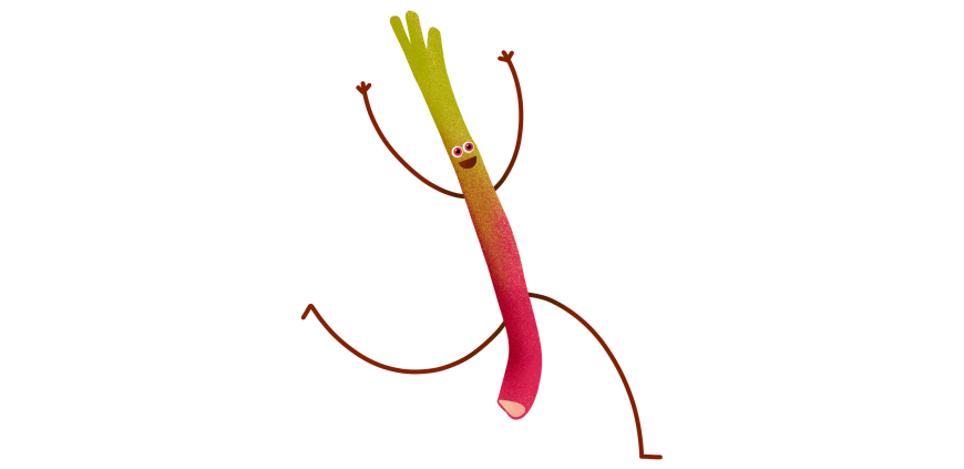 Rhubarbes