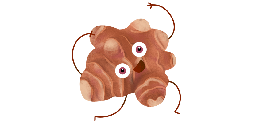 Topinambours